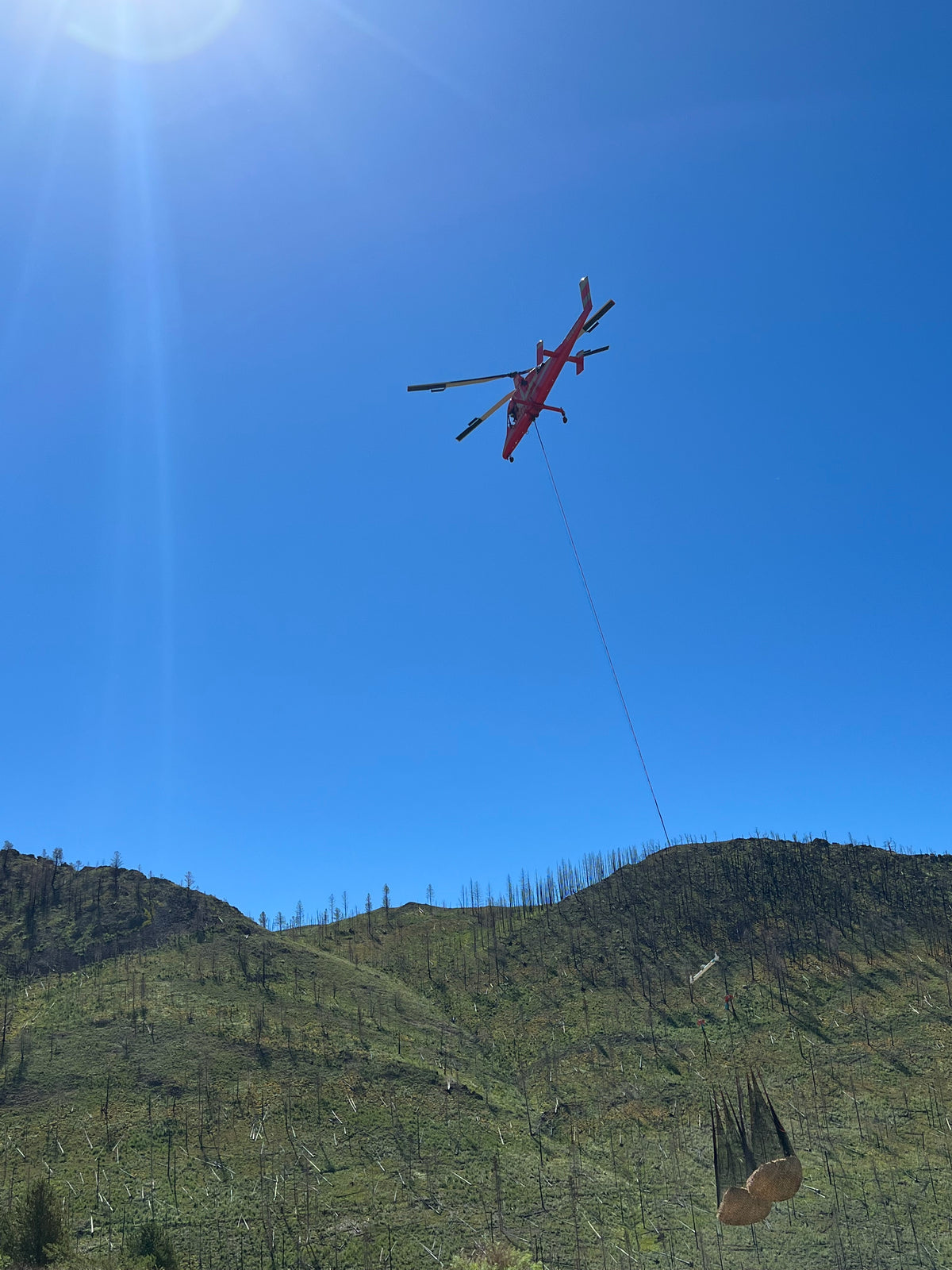Heli-Mulching Cargo Net 05