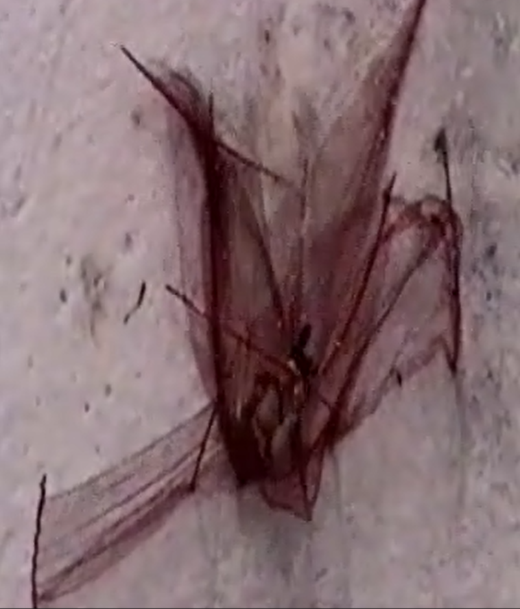 17.png