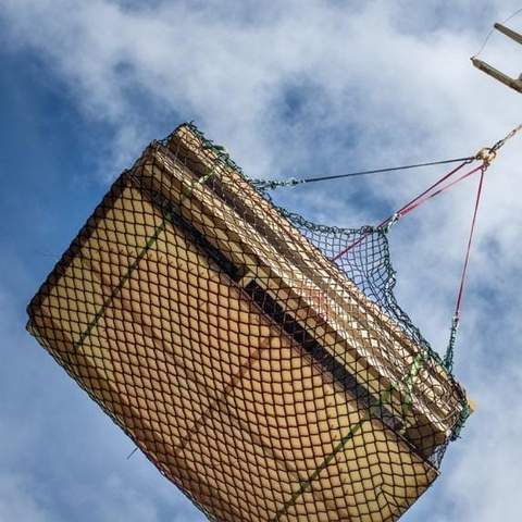 NTMA_Heli_Photo20-cargo_only_large.jpg