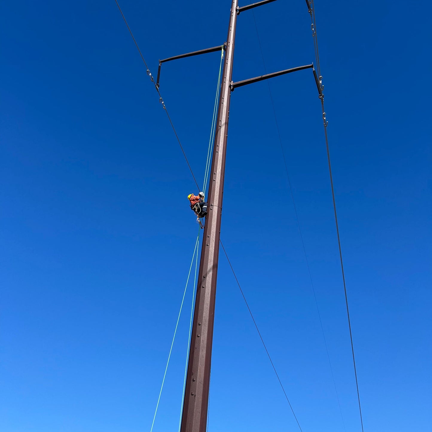 Barry D.E.W. Vicinity Rope 04