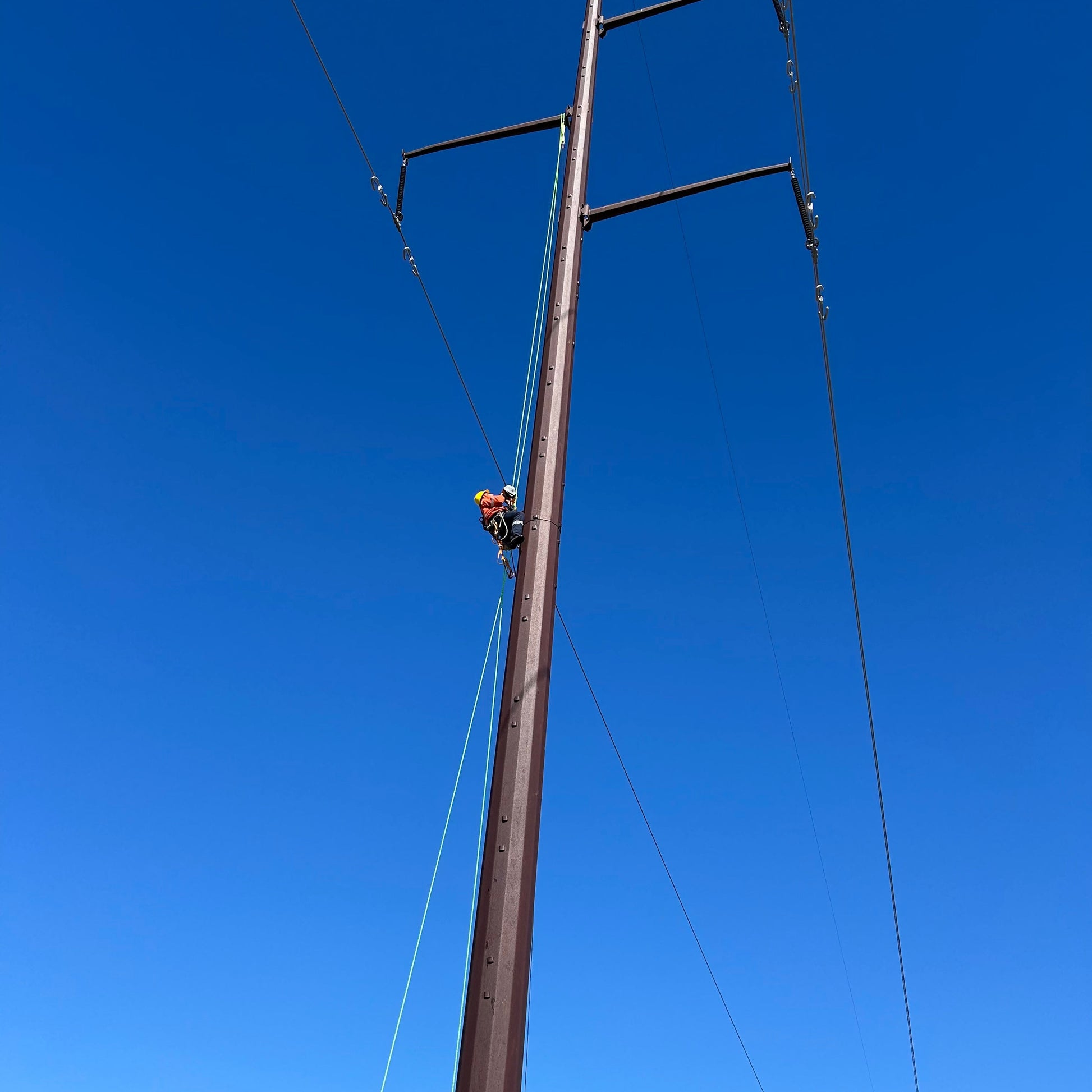 Barry D.E.W. Vicinity Rope 04