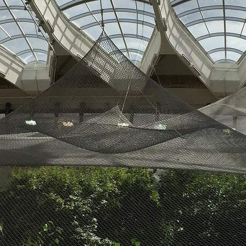 filet-oiseau-biodome_3_large.jpg