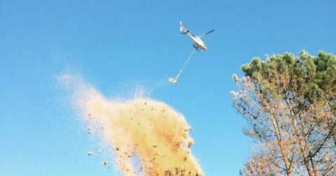 Forestry & Wildland Fire