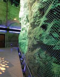 img5l_large.jpg