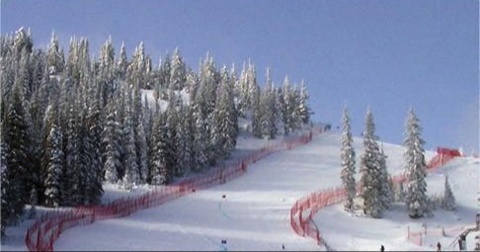Alpine Ski Safety Nets