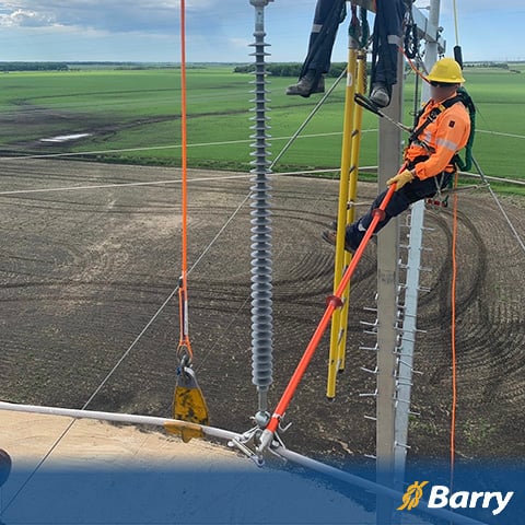 Formation gratuite en ligne <br>sur l'inspection et la maintenance <br>des cordes isolants Barry D.E.W. Line®